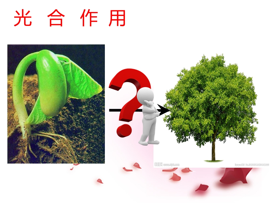 七级生物上册 3.6.1 植物光合作用的发现PPT （新版）苏教版【PPT】 .ppt_第1页