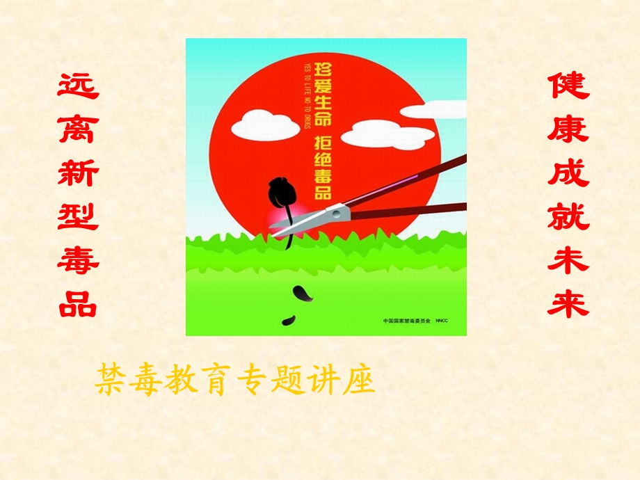 禁毒宣传ppt图文.ppt_第2页