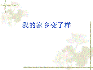 科教版小学三级上册品德与社会《我的家乡变了样》课件3.ppt