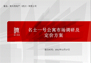 武汉名士一号公寓市场调研及定价方案78p.ppt