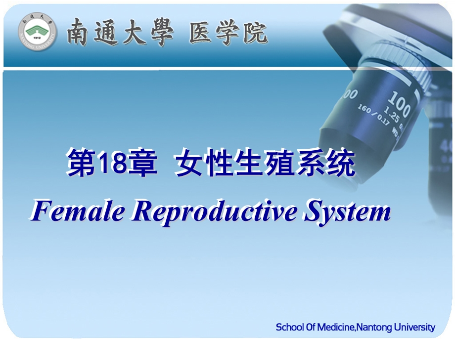 18女性生殖系统.ppt_第1页
