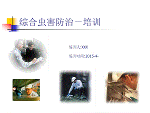 虫害控制培训资料（PPT X页） .ppt