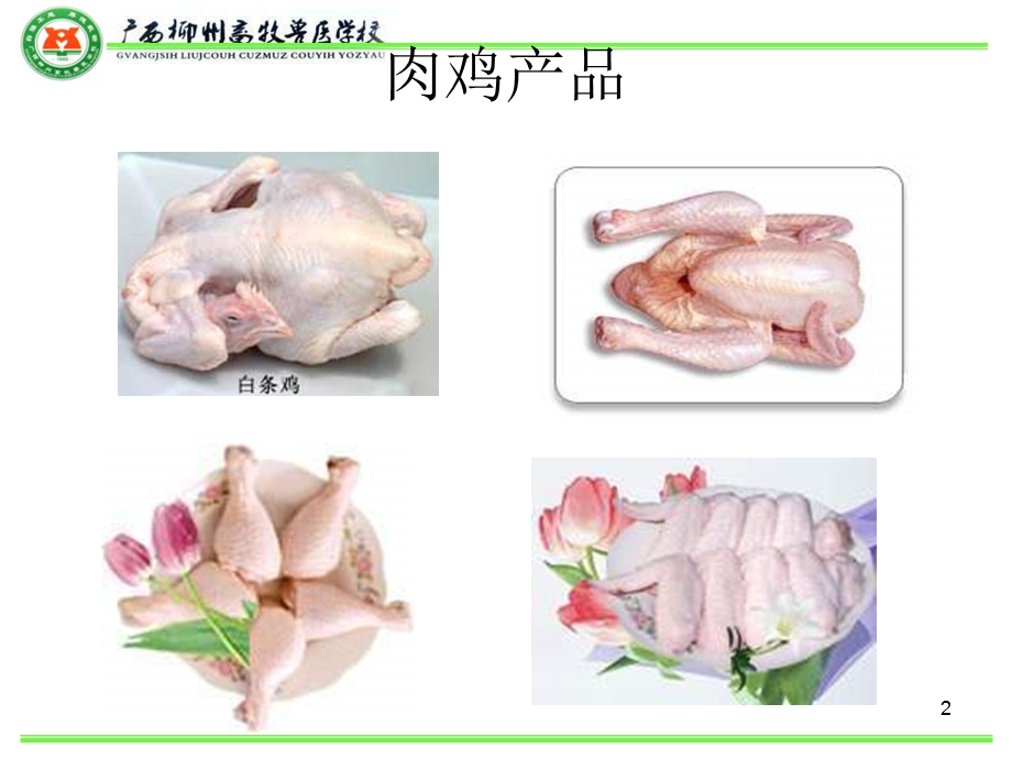 白羽肉鸡饲养管理.ppt_第2页