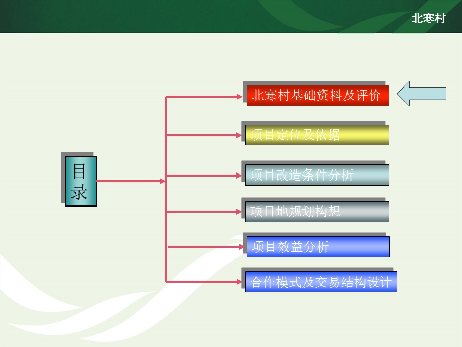北寒村城中村改造项目策划方案.ppt_第3页