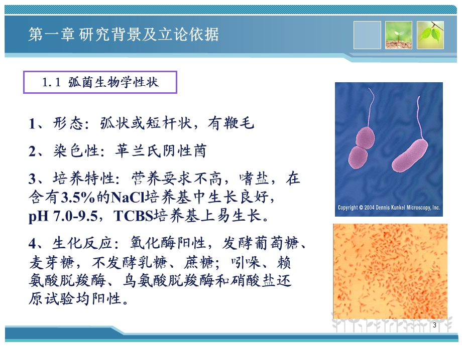 基于单克隆抗体的多元弧菌免疫学检测技术的研究.ppt_第3页