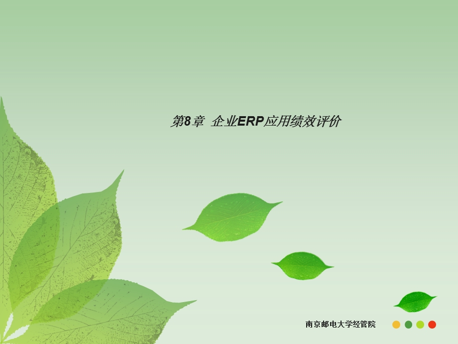 《 企业资源规划(erp)》 cha8erp应用绩效评价.ppt_第1页