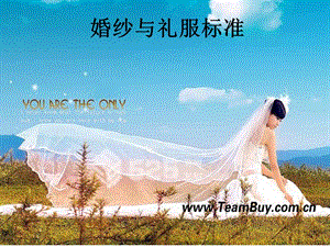 婚纱与礼服标准.ppt