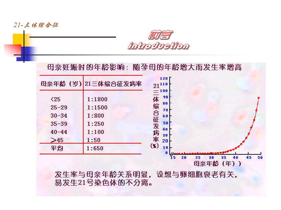 21－三体综合征.ppt_第3页