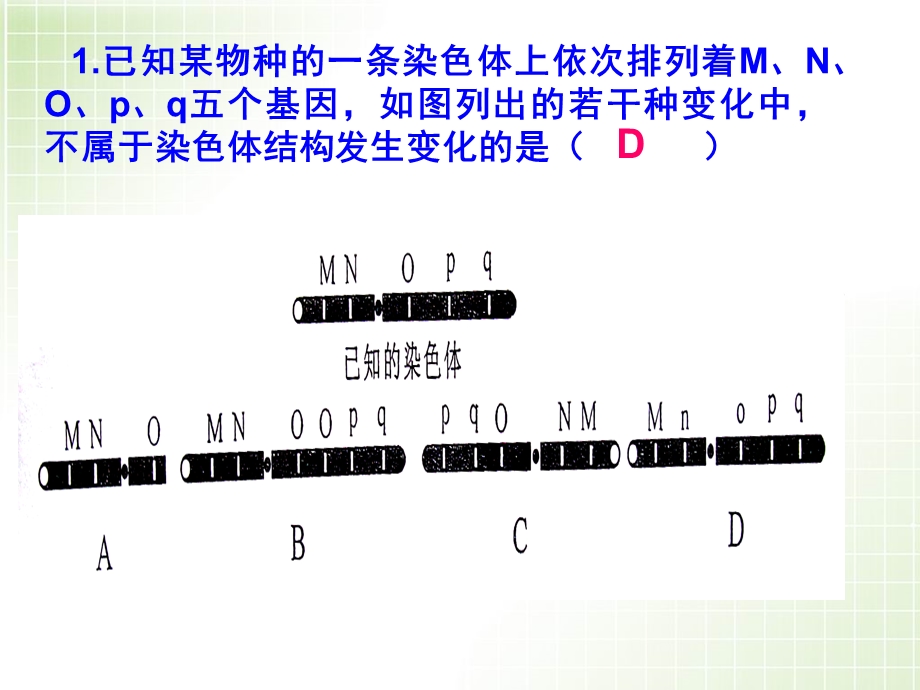 染色体畸变(141).ppt_第3页