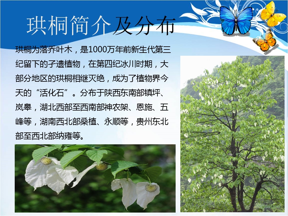 物联网系统在保护濒危植物中的应用.ppt_第3页