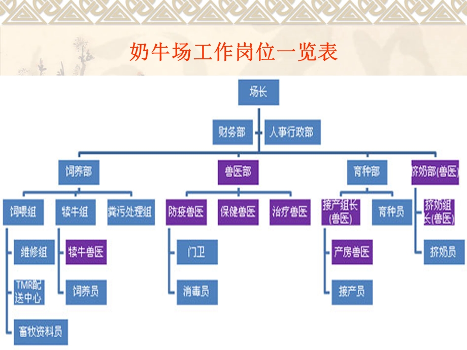 奶牛场设置.ppt_第3页