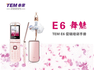 TEM E6手机促销培训手册.ppt