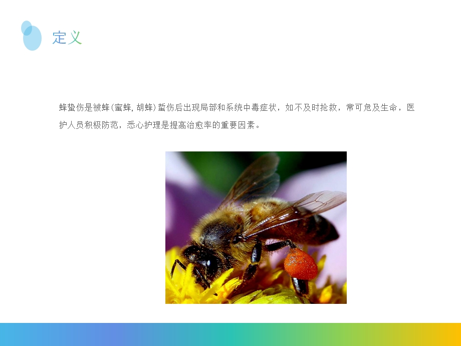 蜂蛰伤紧急救治.ppt_第2页