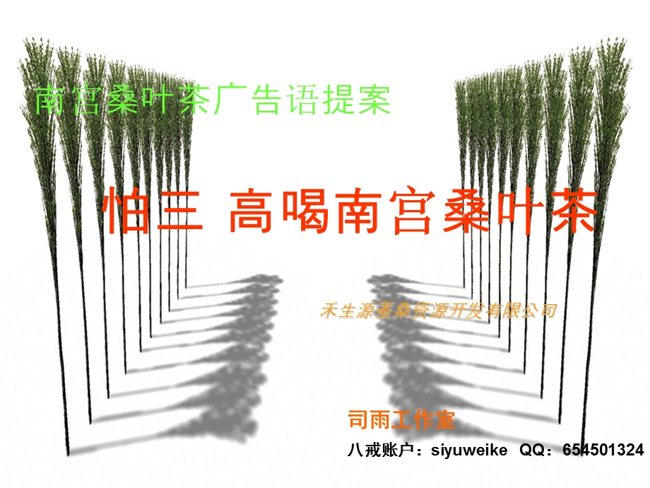 南宫桑叶茶广告语提案 怕三 高喝南宫桑叶茶.ppt_第1页