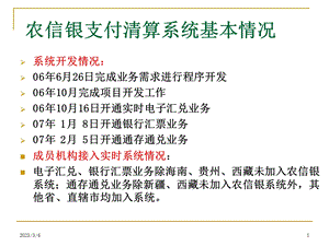 农信银支付清算系统基本情况.ppt