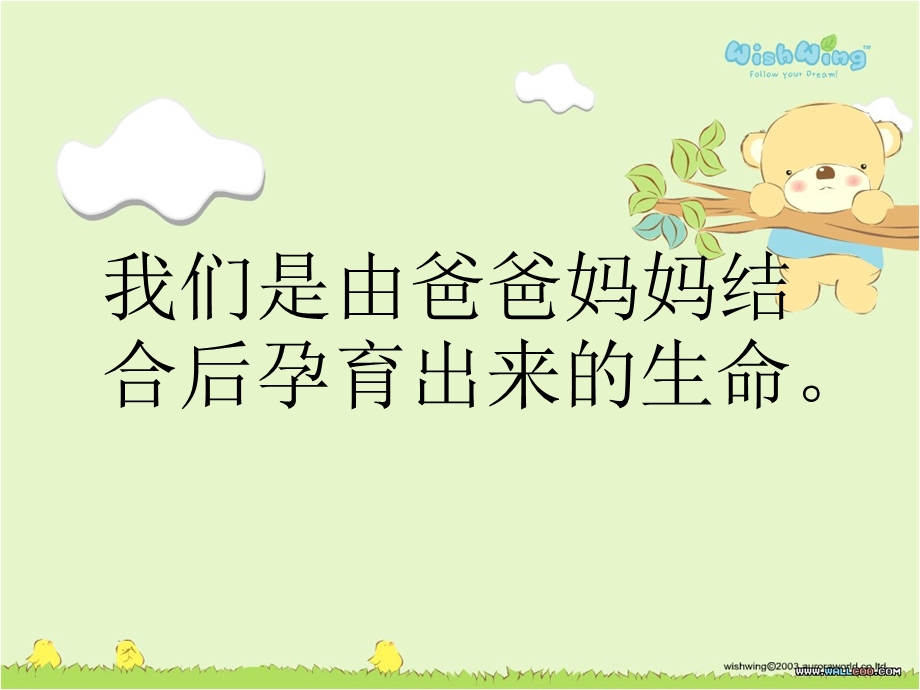 婴儿的出生过程培训教学PPT我是怎样出生的.ppt_第2页