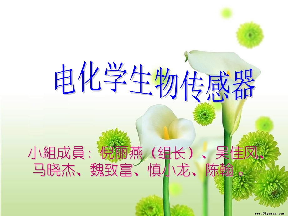 05电化学生物传感器ppt.ppt_第1页