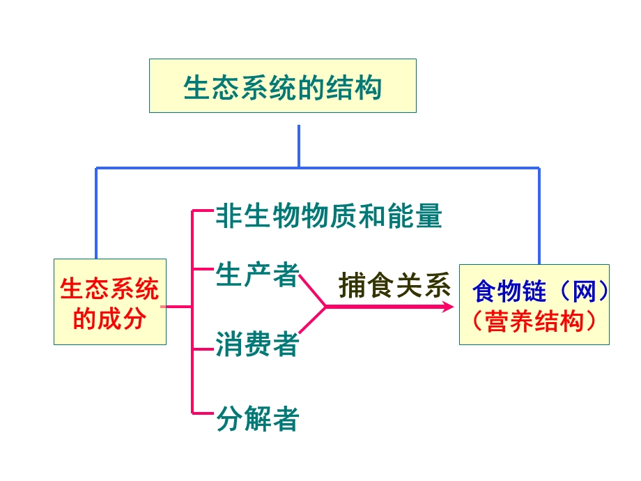 生态系统的能量流动.ppt_第1页