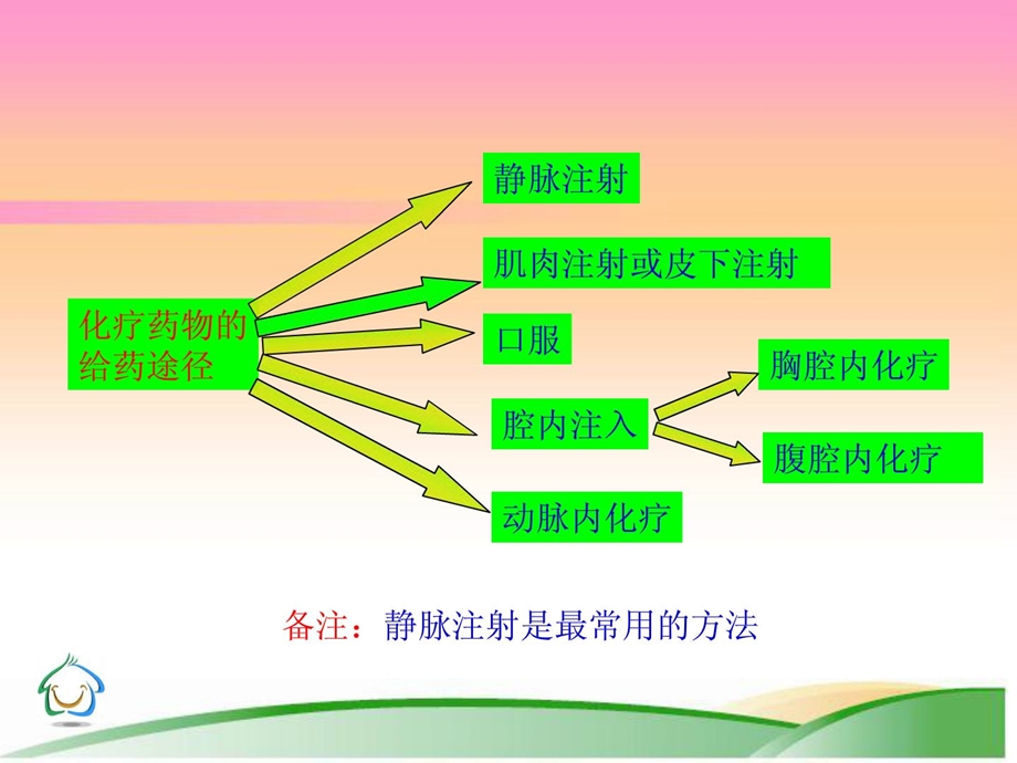 肿瘤化疗病人的护理[精华].ppt_第3页