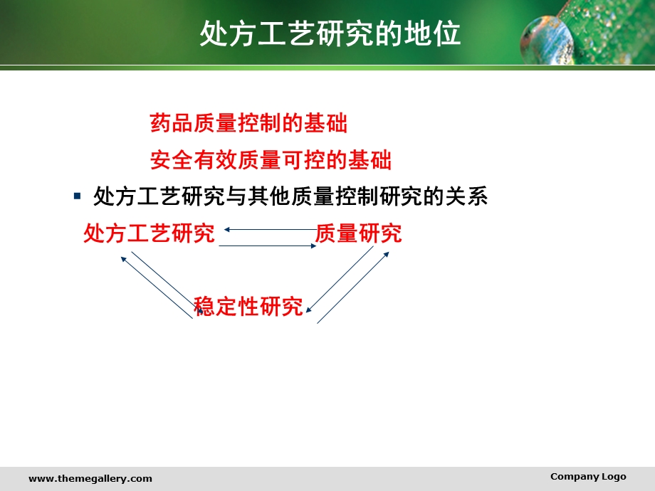 仿制药处方工艺和验证注册.ppt_第3页