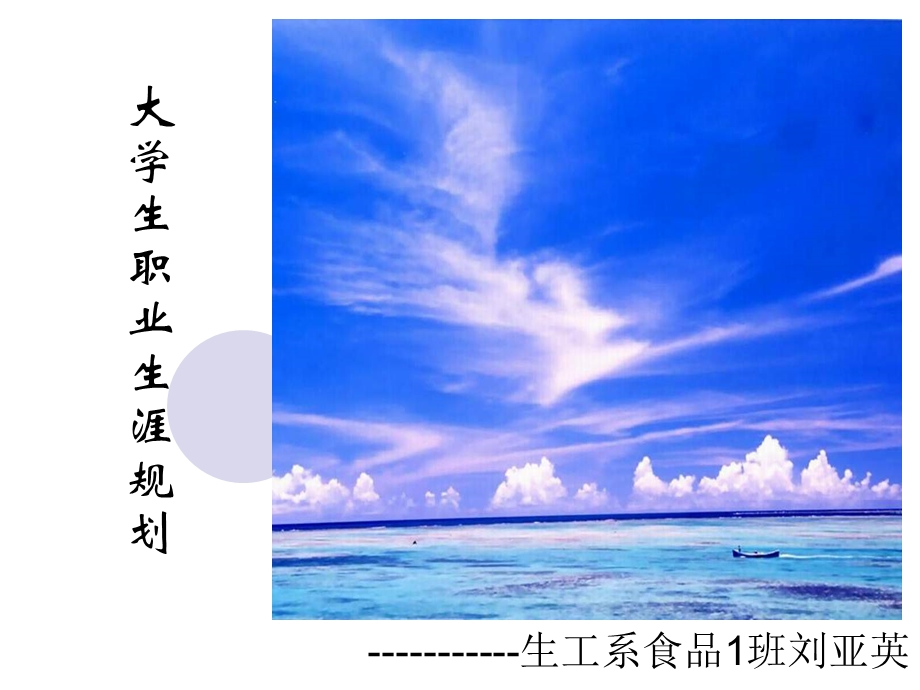 大学生职业生涯规划(9).ppt_第1页