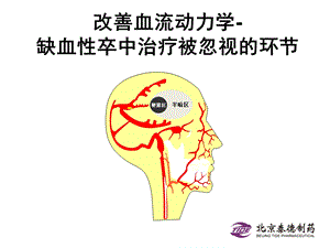 改善血流动力学缺血性卒中治疗被忽视的环节.ppt