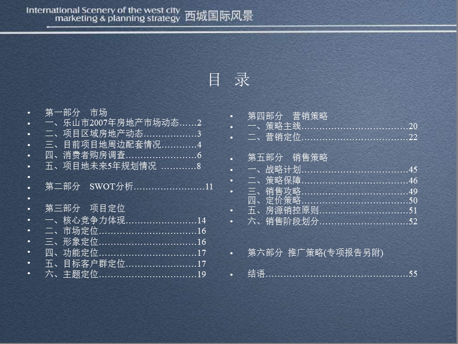 四川乐山西城国际风景项目营销战略57页.ppt_第2页