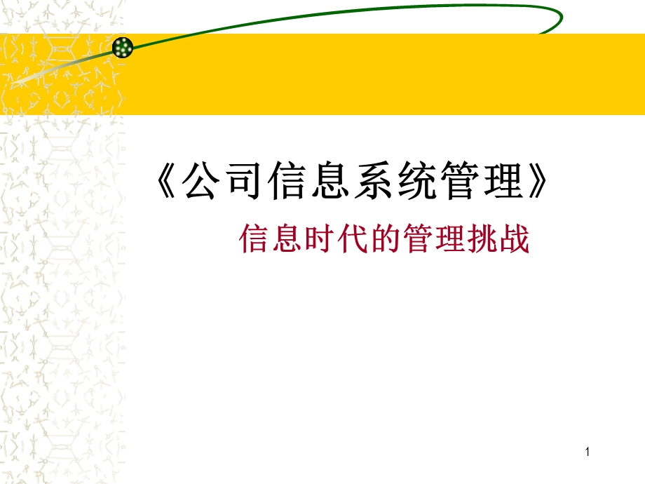 公司信息系统管理.ppt_第1页