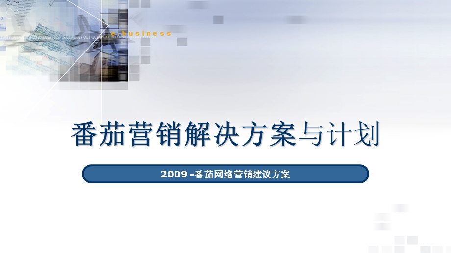 蕃茄网络营销建议方案.ppt_第1页