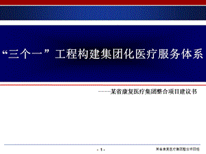 某省康复医疗集团战略、管控、文化项目建议书.ppt