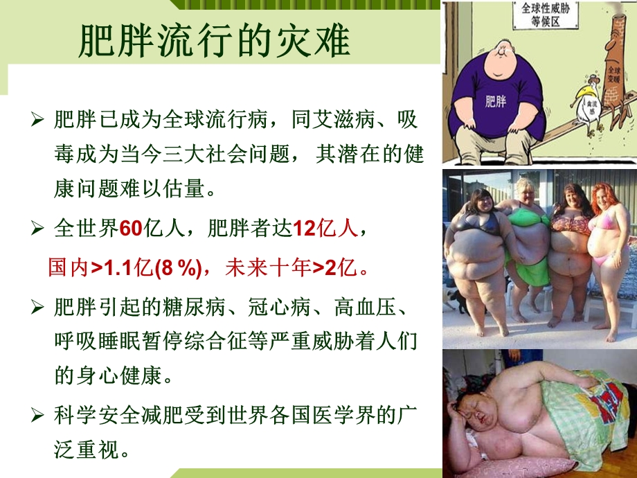 肥胖症外科治疗护理查房.ppt_第2页