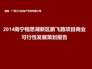 南宁相思湖新区鹏飞路项目商业可行性发展策划报告（102页） .ppt