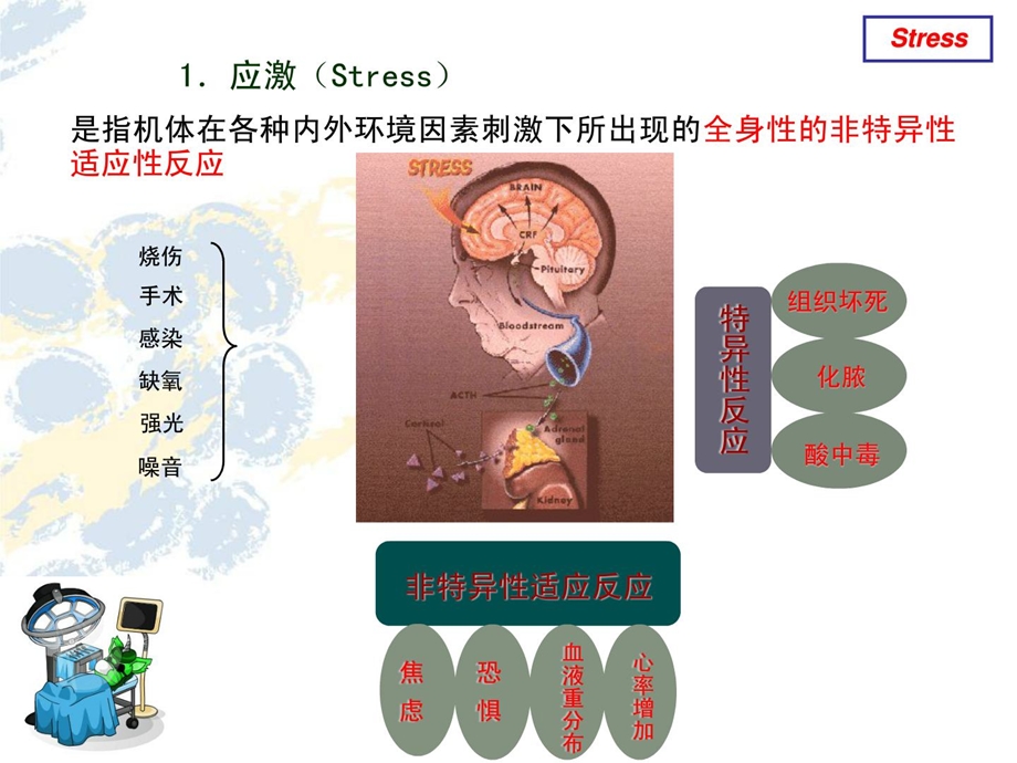 [精品]右美托咪定综述.ppt_第3页