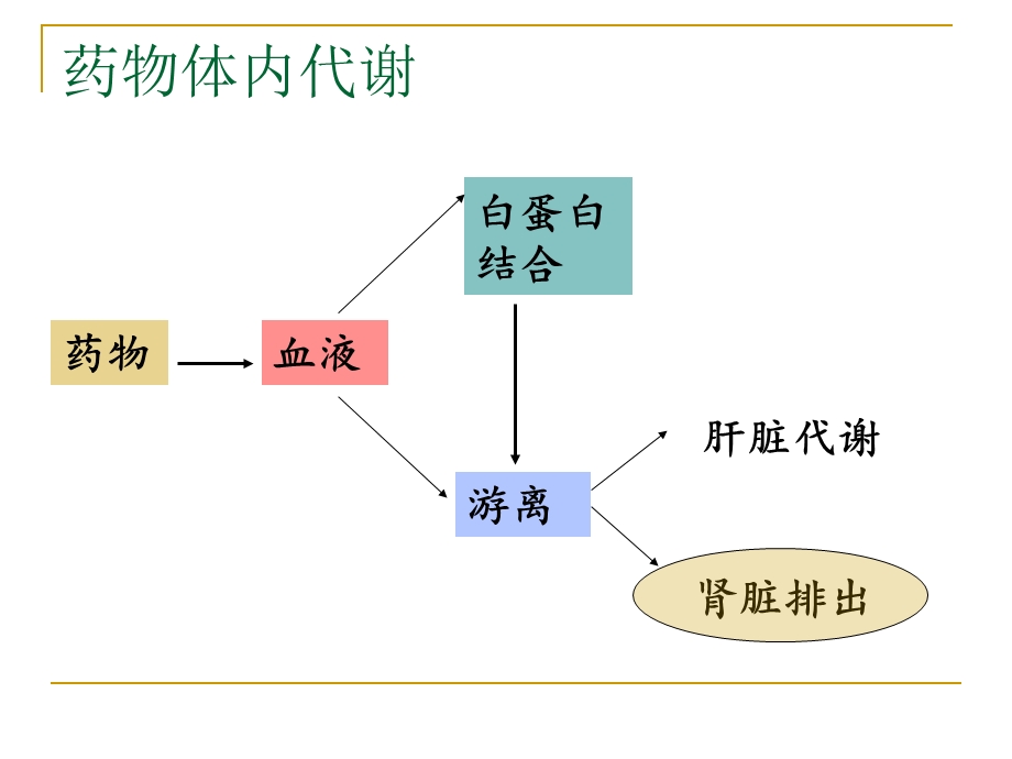 肾内科——肾功能不全的抗菌药物选择.ppt_第2页