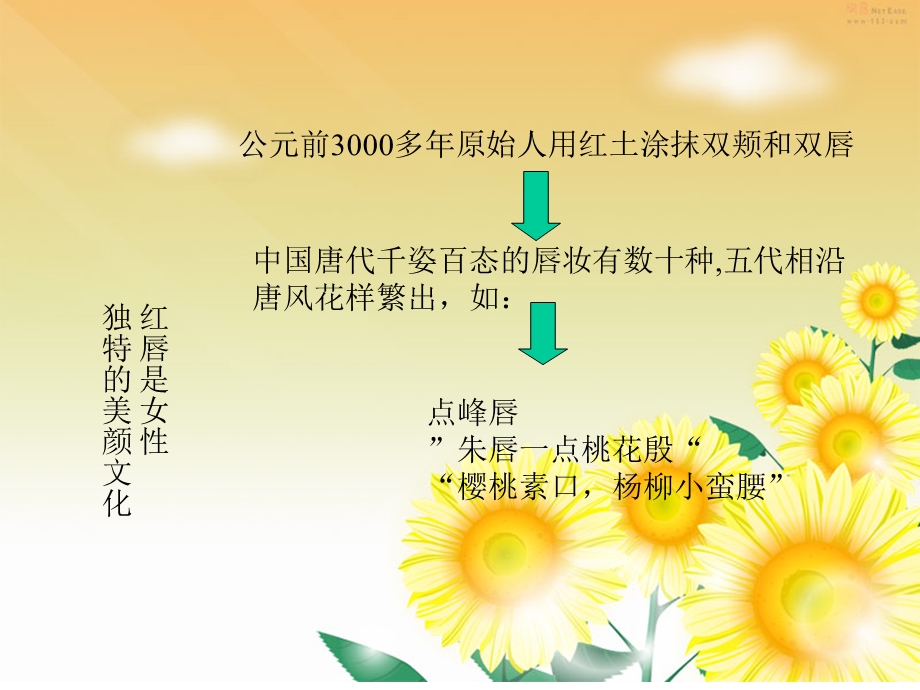 文绣.ppt.ppt_第3页