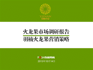 1羽楠火龙果营销调研及策略报告.ppt