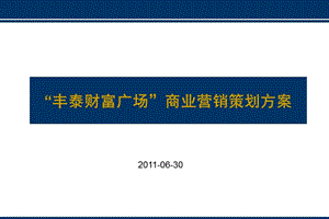 漳州漳州角美“丰泰财富广场”商业营销策划方案48p.ppt