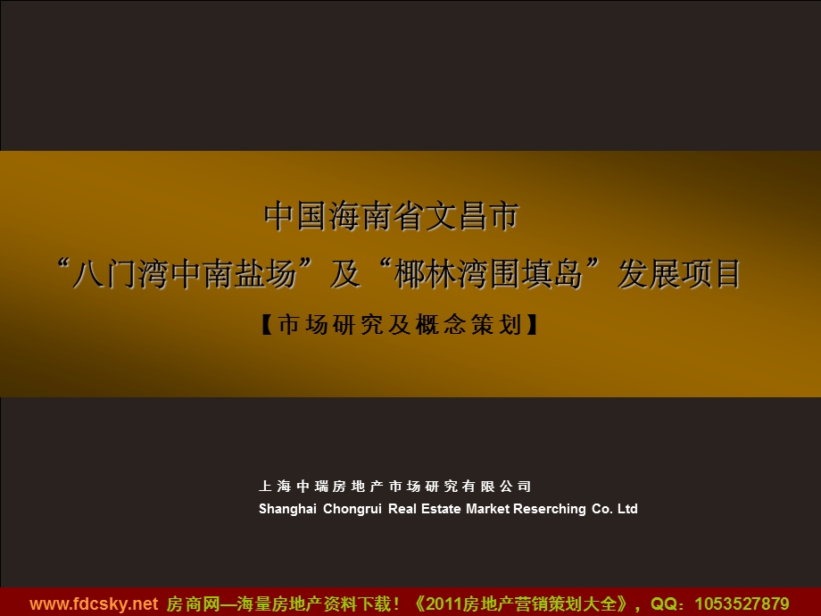 海南省文昌市八门湾中南盐场及椰林湾围填岛发展项目市场研究及概念策划 (NXPowerLite).ppt_第1页