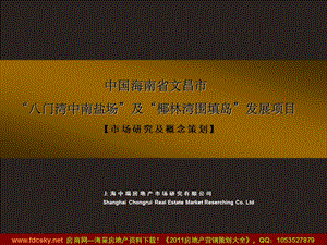 海南省文昌市八门湾中南盐场及椰林湾围填岛发展项目市场研究及概念策划 (NXPowerLite).ppt