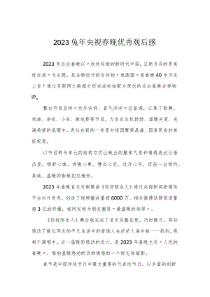 2023兔年央视春晚优秀观后感.docx