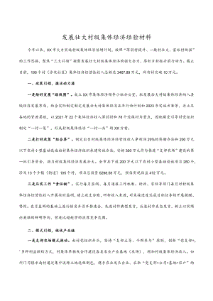 2023年发展壮大村级集体经济经验材料.docx