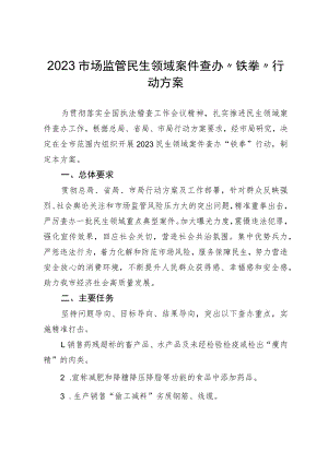 2023市场监管民生领域案件查办“铁拳”行动方案.docx