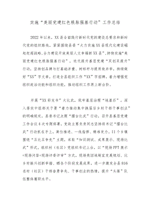 实施“美丽党建 红色根脉强基行动”工作总结.docx