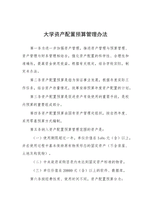 大学资产配置预算管理办法.docx