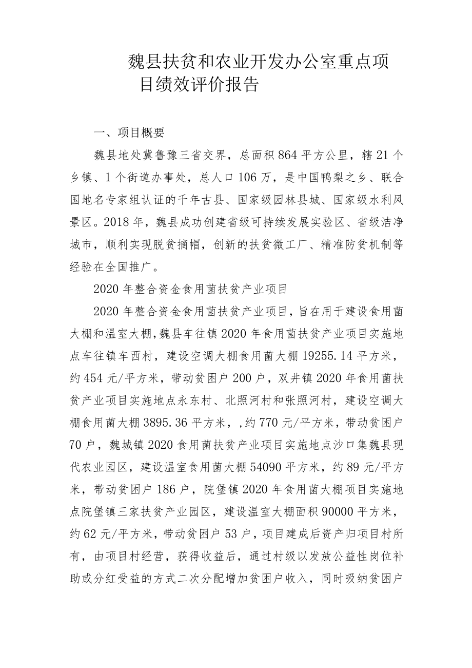 魏县财政局重点项目绩效评价报告.docx_第3页