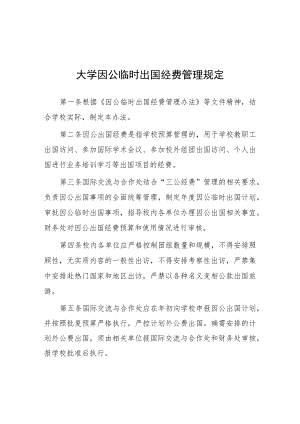 大学因公临时出国经费管理规定.docx