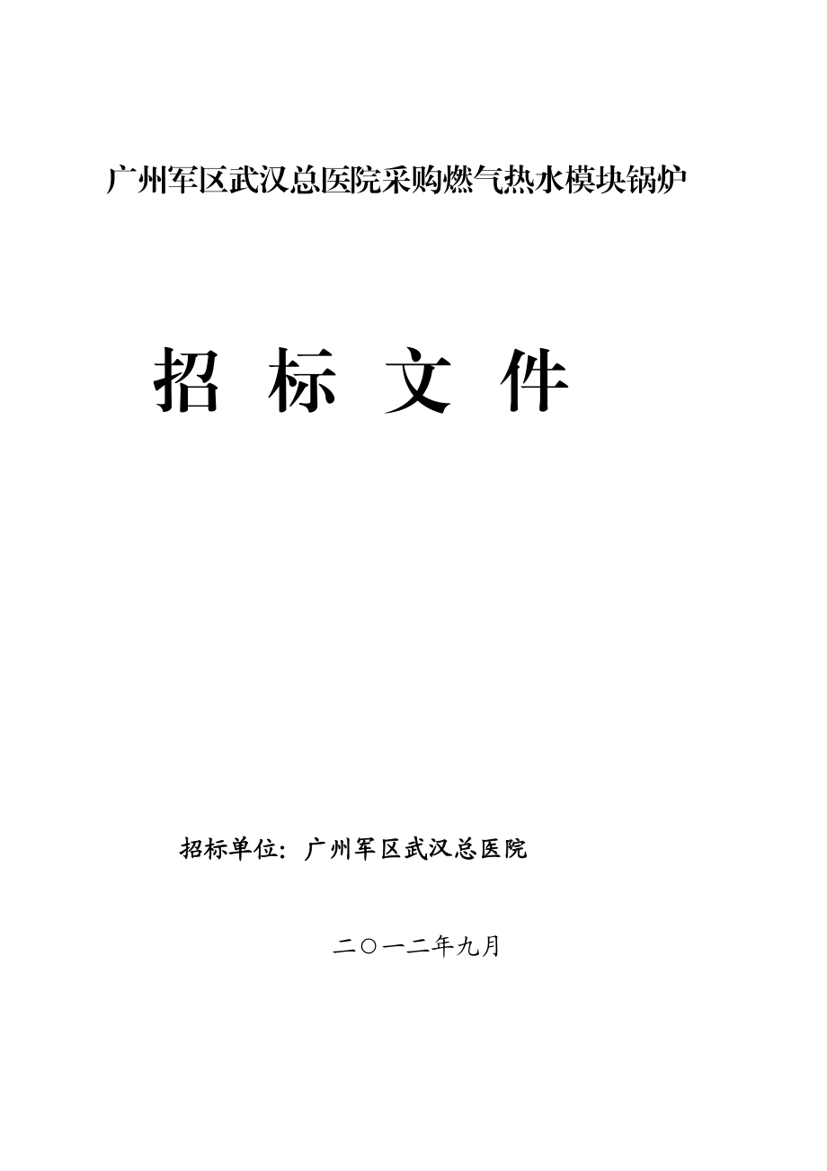 业务]0902燃气热水锅炉招标文件最终稿(投票法).doc_第2页