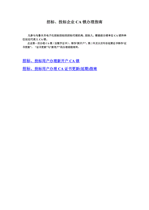 投标人ca锁办理乌鲁木齐建设工程信息网.doc