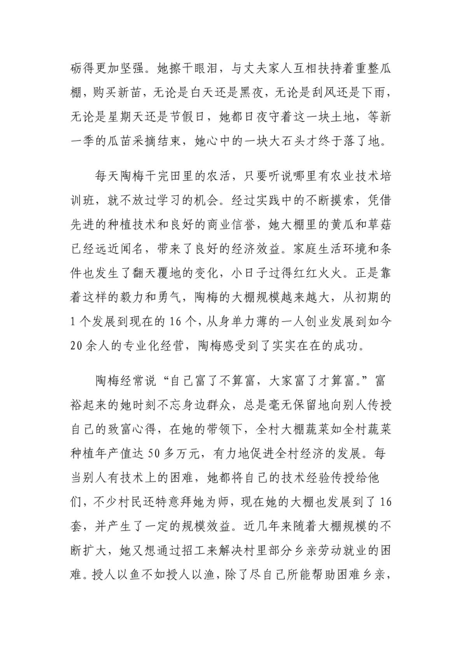 XX镇勤劳致富家庭陶梅事迹材料.doc_第2页