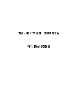 雷州大道（207国道）道路改造工程项目可行性研究报告.doc